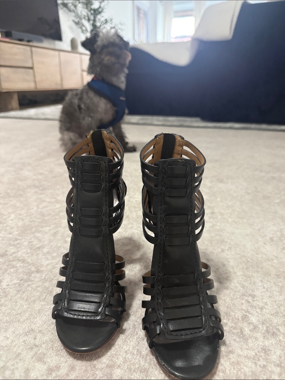 Coach Black Strappy Gladiator Heels